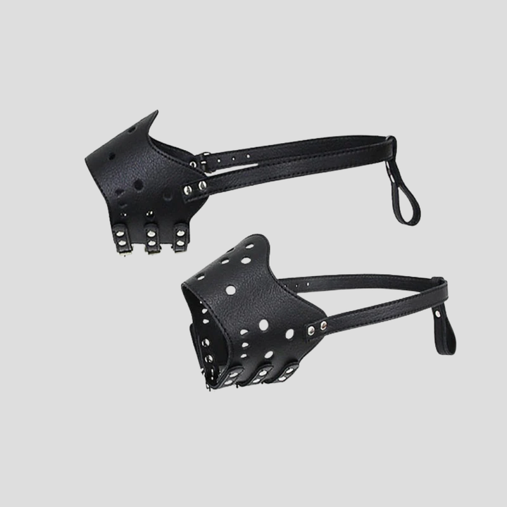 Dog Muzzle Secured Design for Pet Safety
