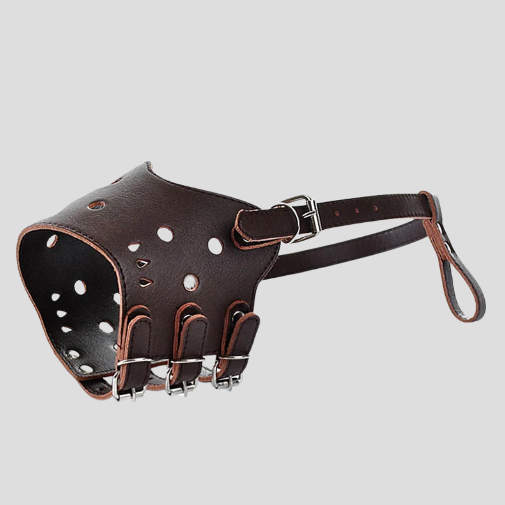 Dog Muzzle Secured Design for Pet Safety