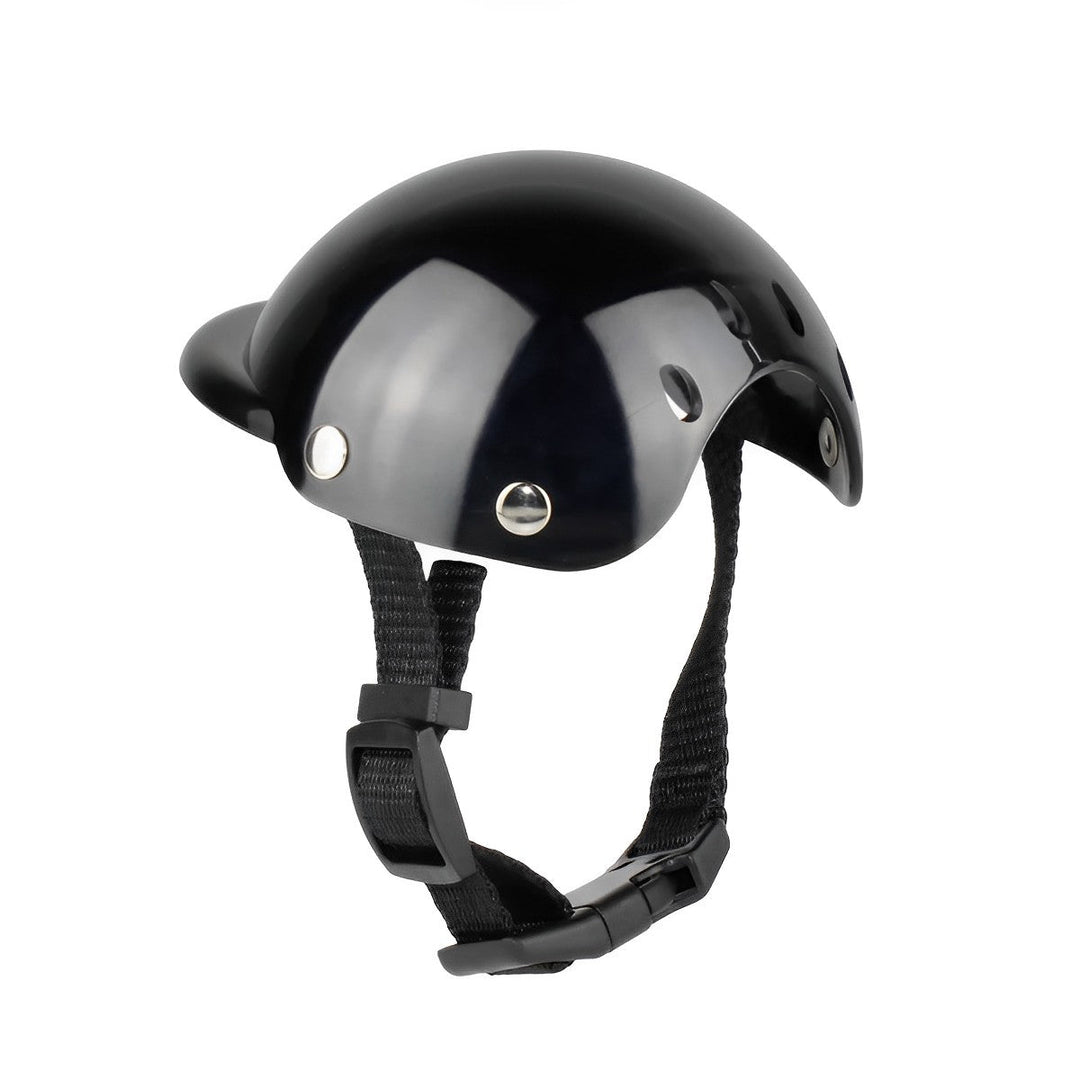 Helmet and Protective Goggles for Dogs – Stylish and Safe