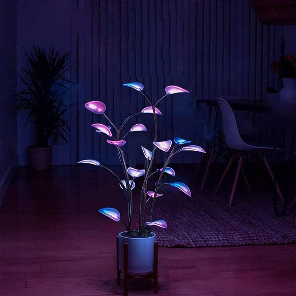 Indoor LED Plant | Programmable Ambient Light