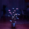 Indoor LED Plant | Programmable Ambient Light