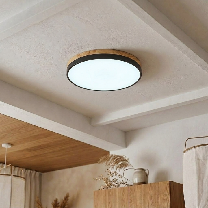 Round Disc Ceiling Light – Flat, Flush-Mounted Light
