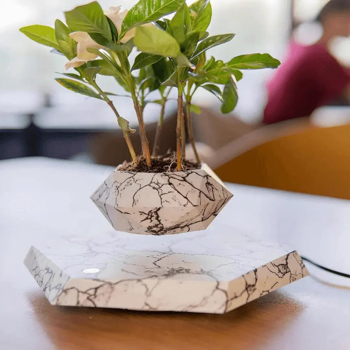 Liva Floating Plant Holder with Magnetic Levitation