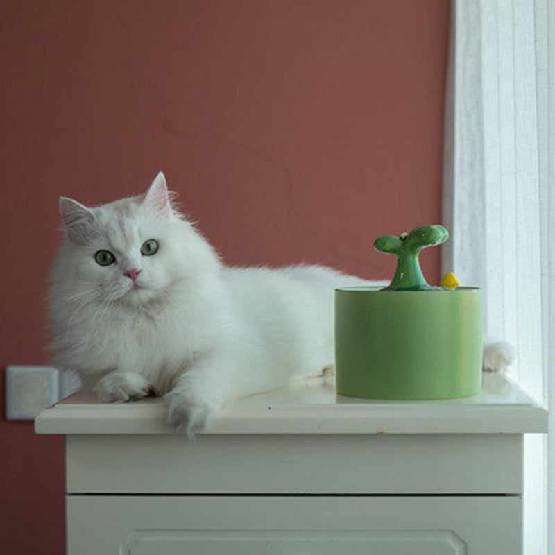 Cat Fountain – SpringFlow
