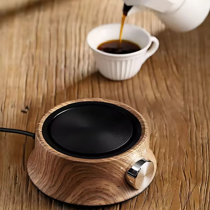 Compact Mini Hot Plate with Temperature Control