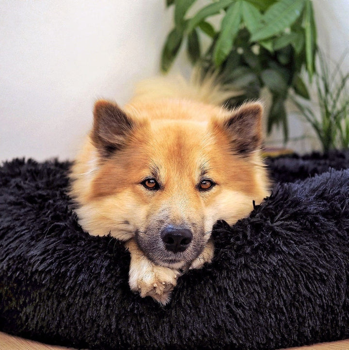 Fluffy Plus Dog Bed – The Original