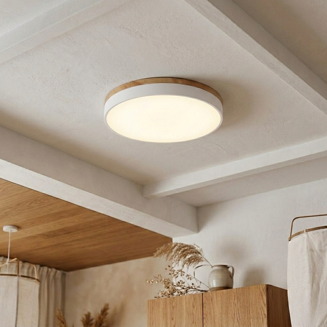 Round Disc Ceiling Light – Flat, Flush-Mounted Light