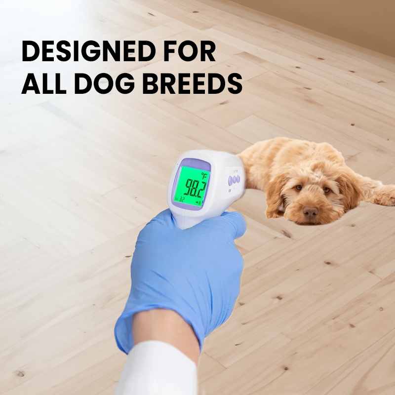 Kontaktloses Hundethermometer mit Ein-Klick-Messung