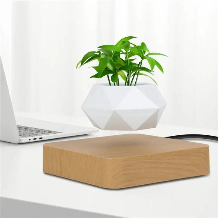 Liva Floating Plant Holder with Magnetic Levitation