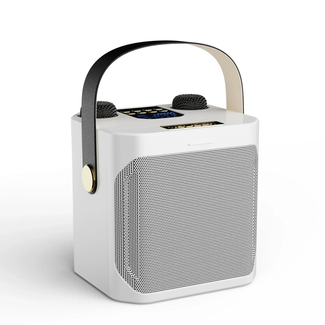 Powerful Bluetooth Karaoke Speaker – Portable Wireless Subwoofer 360° Surround Sound Speaker with Dual Microphone
