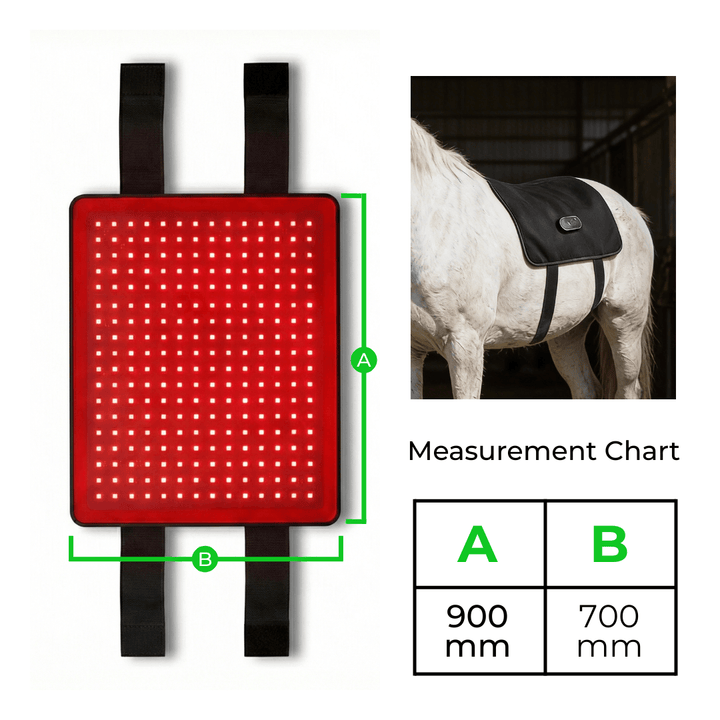 LED Back Wrap for Horses with Red Light Therapy