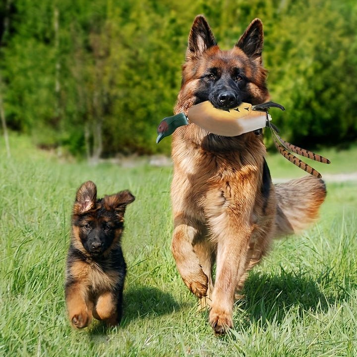 Mallard Retriever – Langlebiges Kunststoff-Trainingsspielzeug in Entenform