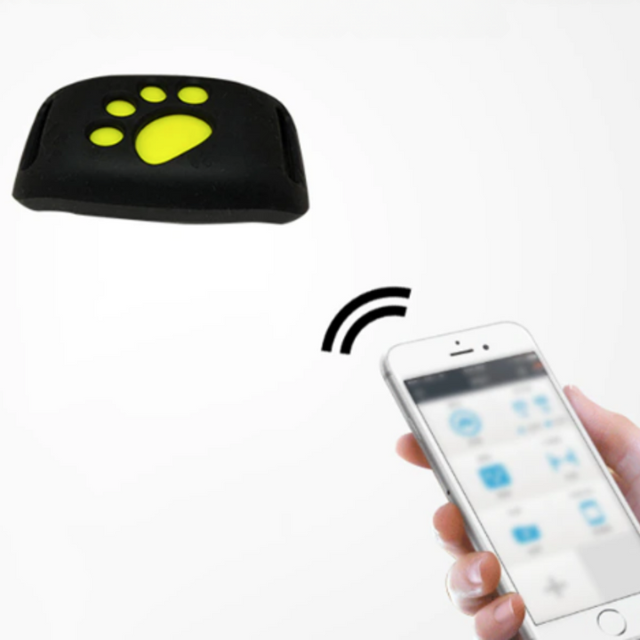 PetSafe GPS-Halsband für Haustiere - Echtzeit-Tracking, wasserdicht und ohne Abo