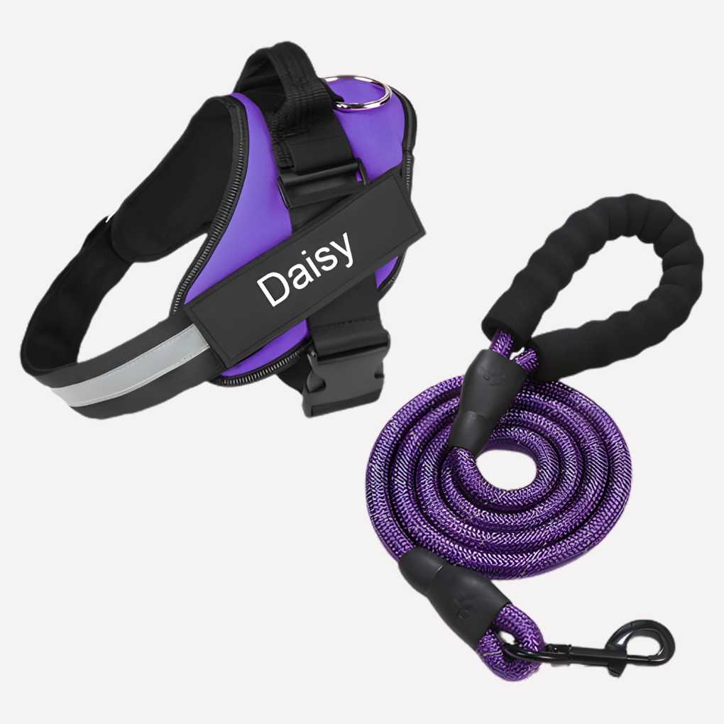 Personalized Anti-Pull Dog Harness