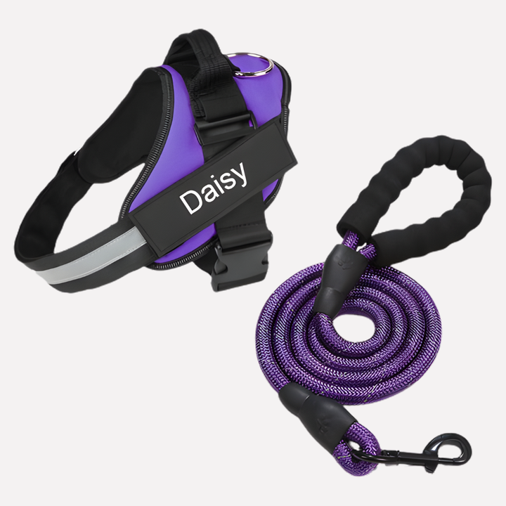 Personalized Anti-Pull Dog Harness