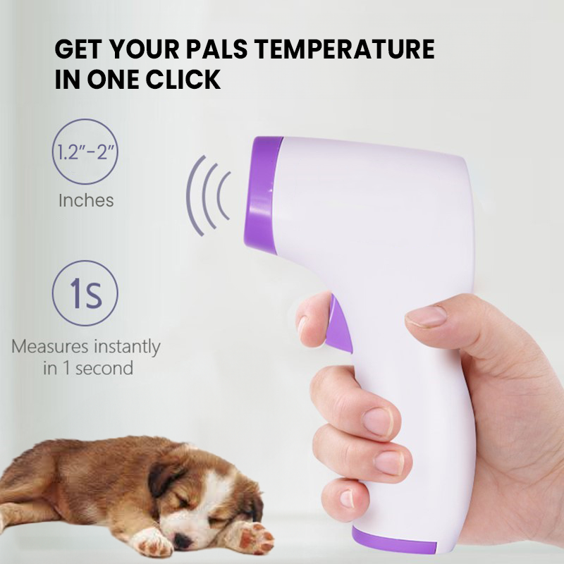 Kontaktloses Hundethermometer mit Ein-Klick-Messung