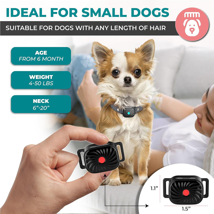 BelloSilent Anti-Bark Collar for Small Dogs | With Sound and Vibration | IP87 Waterproof | Adjustable and Gentle Training