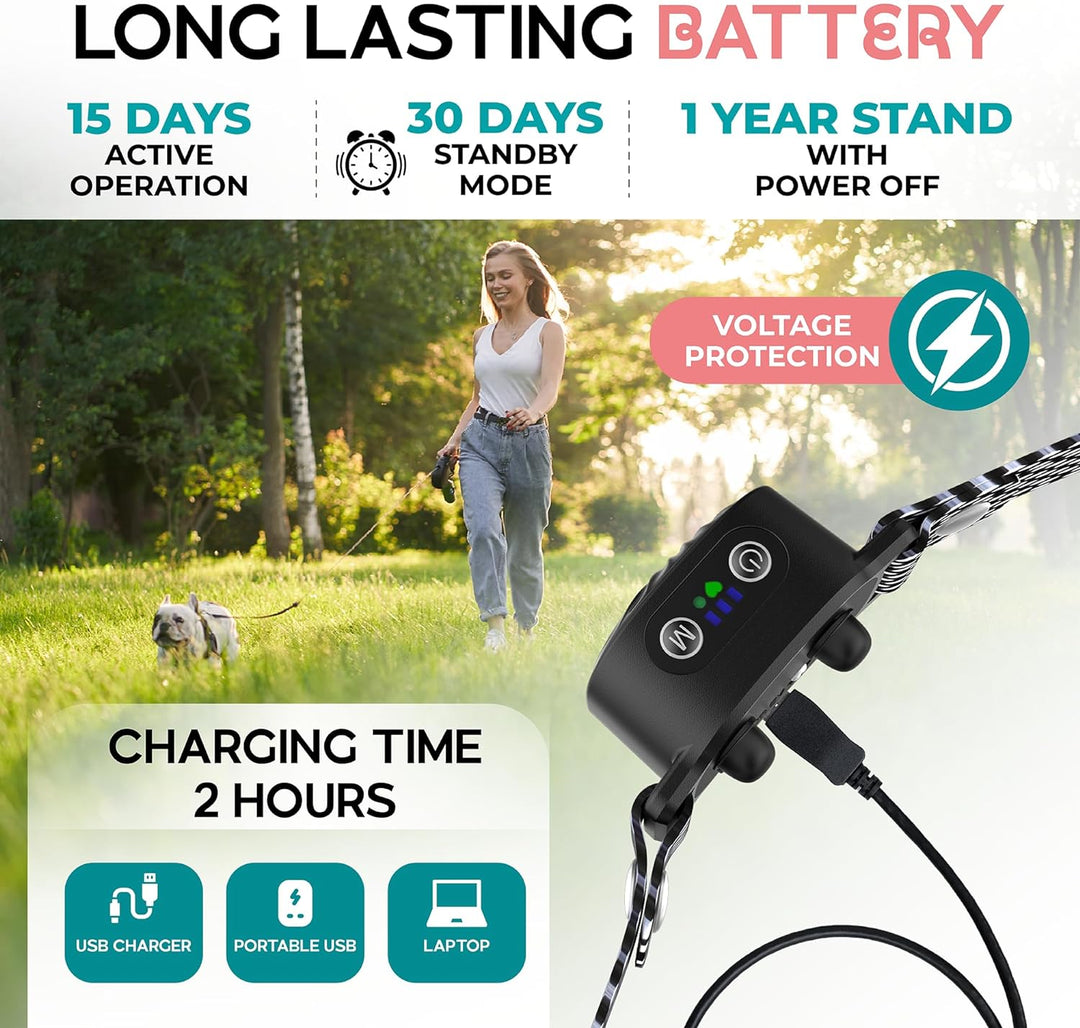 BelloSilent Anti-Bark Collar for Small Dogs | With Sound and Vibration | IP87 Waterproof | Adjustable and Gentle Training