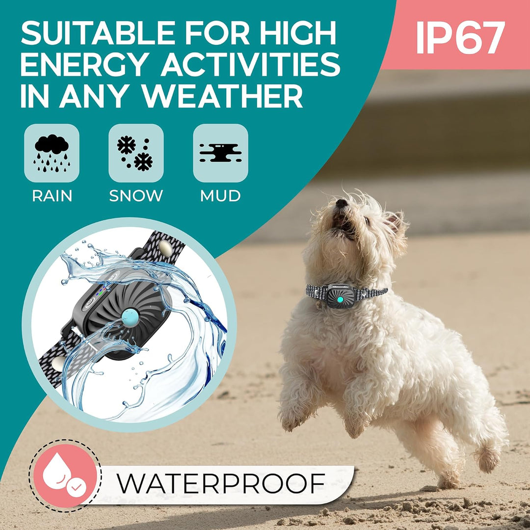 BelloSilent Anti-Bark Collar for Small Dogs | With Sound and Vibration | IP87 Waterproof | Adjustable and Gentle Training