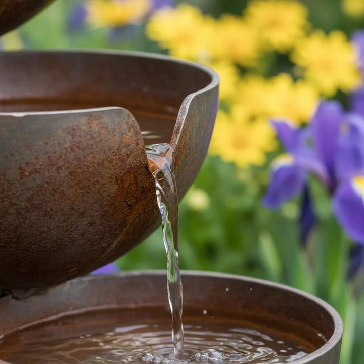Rain-Catching Bird Bath - Natural Water Source for Birds and Bees
