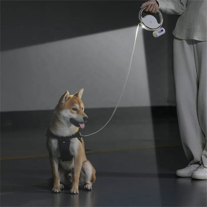 Automatische Hundeleine mit LED – Ergonomischer Griff und Sicherheitslicht