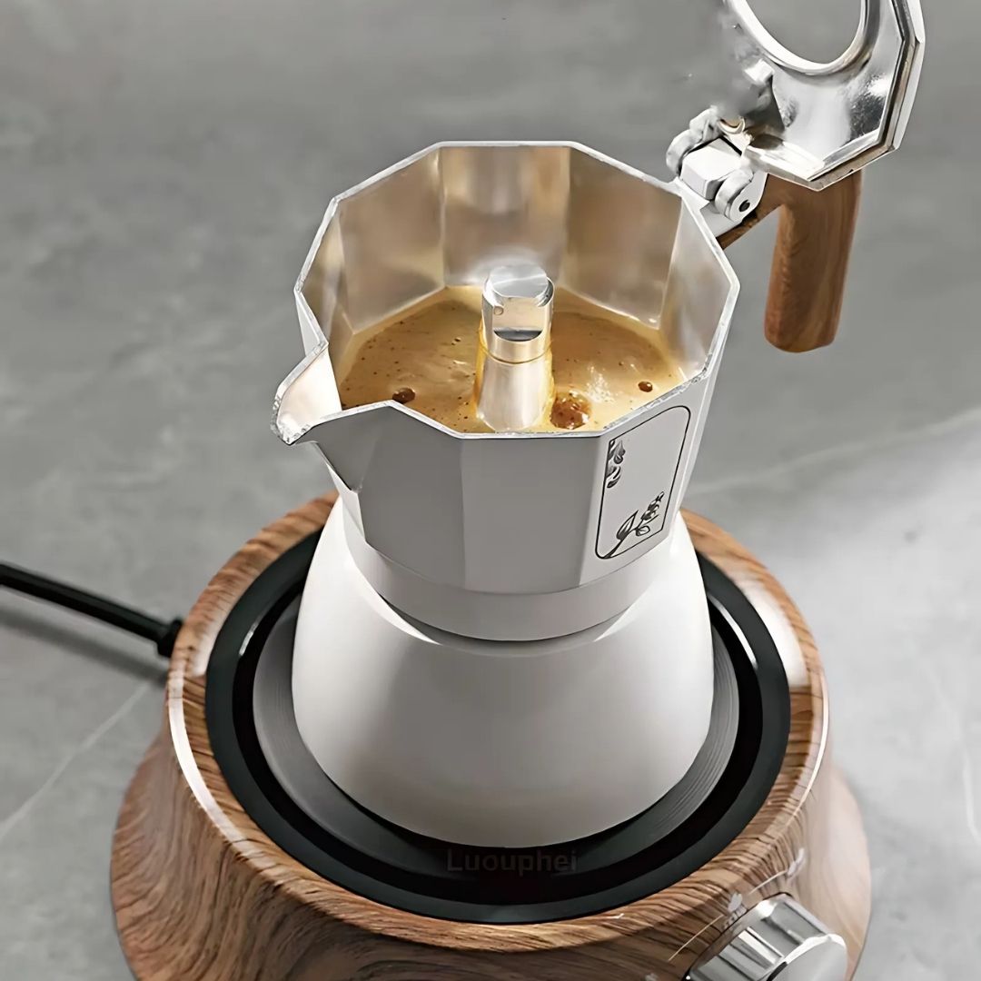 Compact Mini Hot Plate with Temperature Control