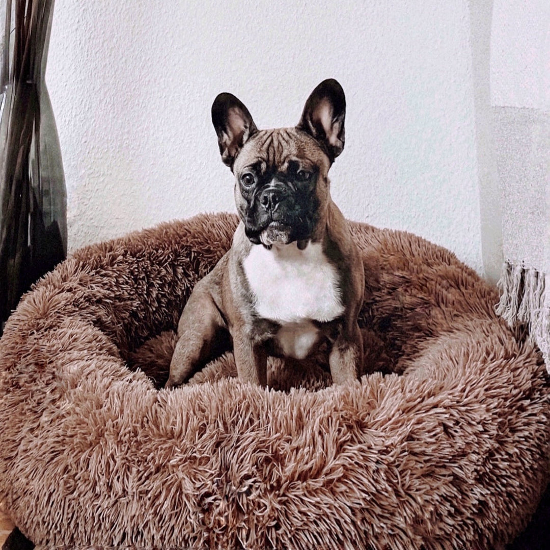 Fluffy Plus Dog Bed – The Original