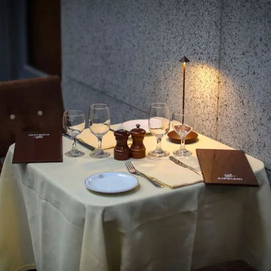 Cordless LED Table Lamp - LumeStijl