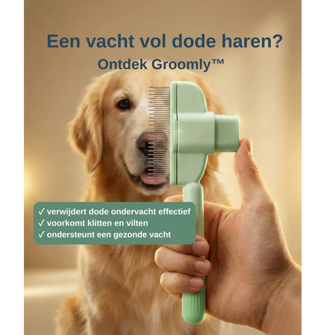 Self-Cleaning Grooming Comb for Dogs and Cats