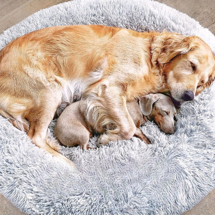 Fluffy Plus Dog Bed – The Original