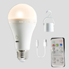 Elegant Portable LED Table Lamp