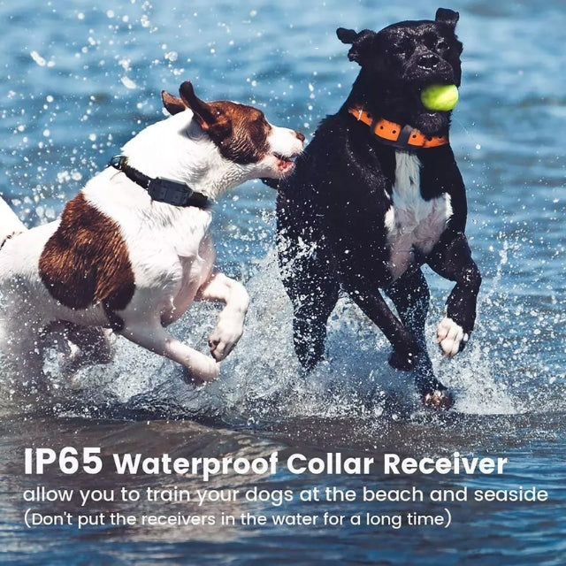 Electric Training Collar with Remote Control for Dogs