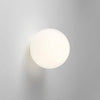 Modern Frosted Glass LED Globe Wall Light 1 Light