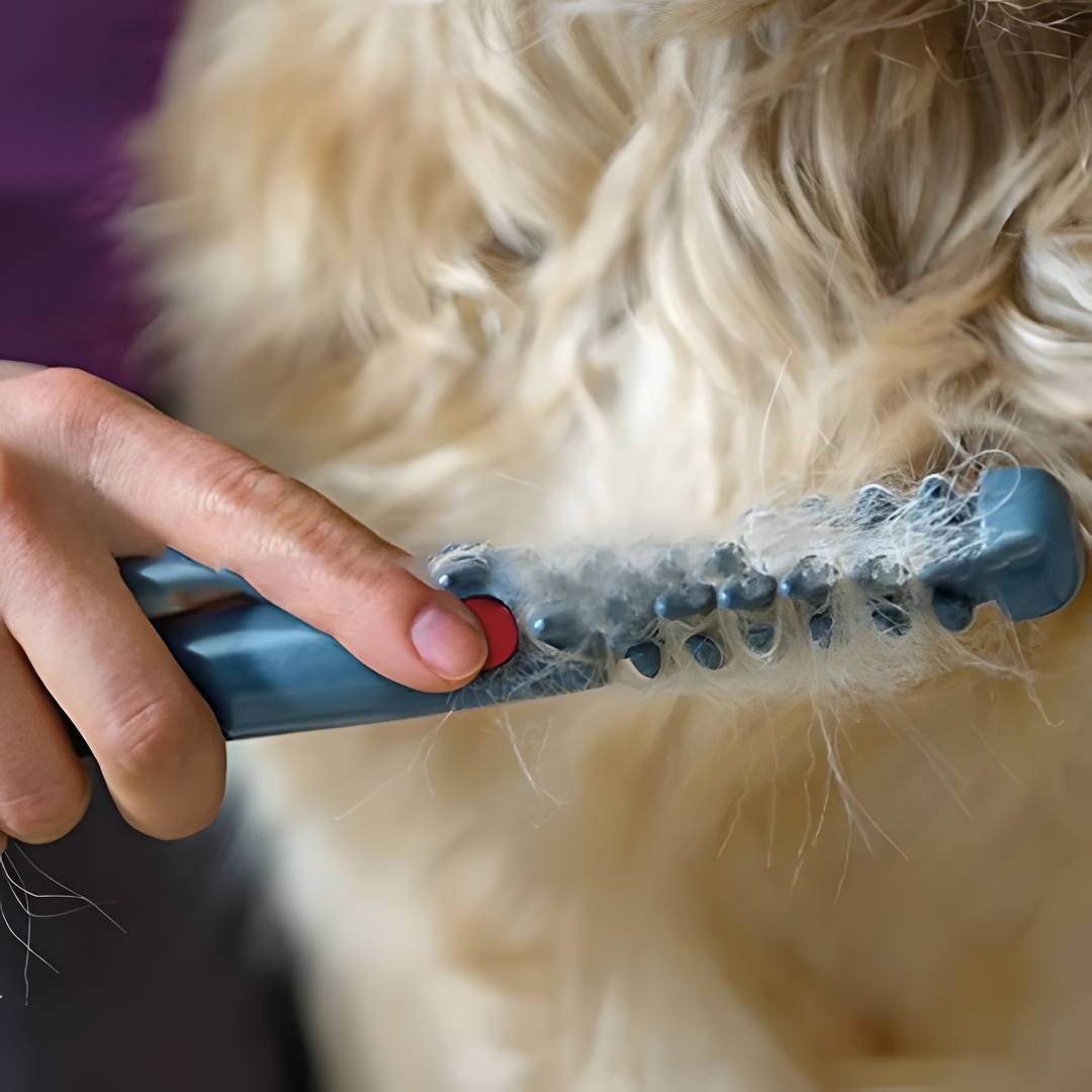 Fellona Fellpflege-Tool ohne Knoten | Schmerzfreie Fellpflege für Hunde und Katzen | Geeignet für Alle Felltypen