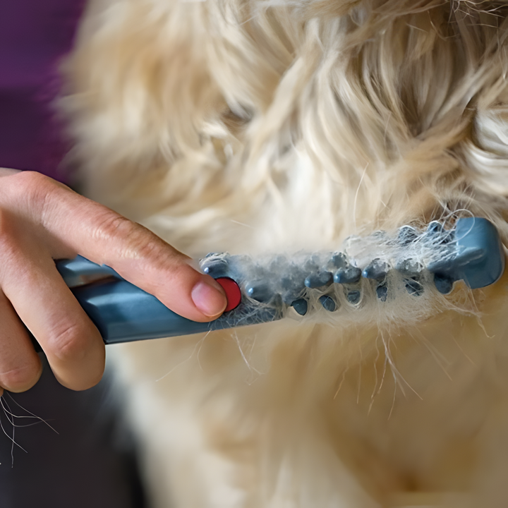 No More Knots and Tangles for Your Pet