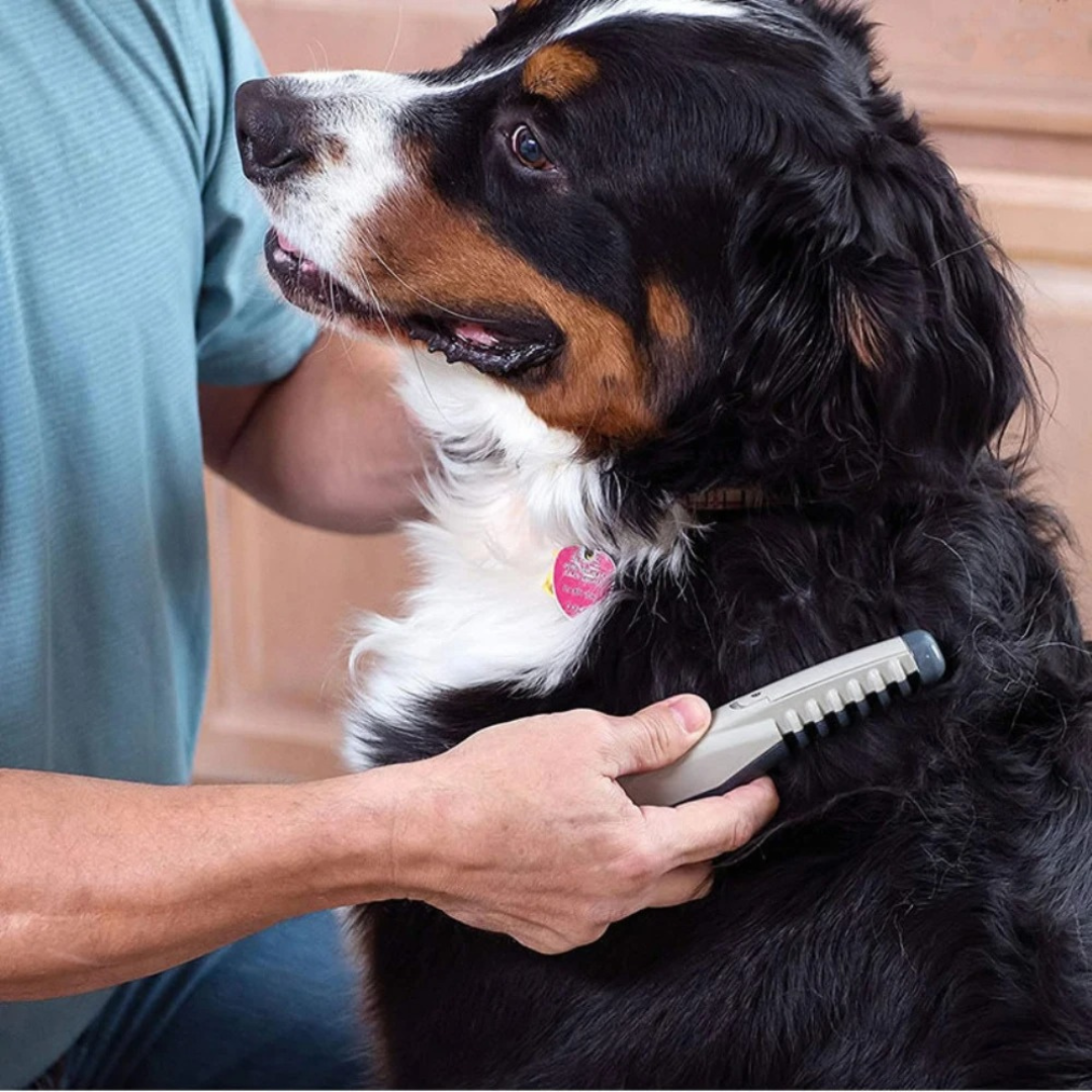Fellona Fellpflege-Tool ohne Knoten | Schmerzfreie Fellpflege für Hunde und Katzen | Geeignet für Alle Felltypen