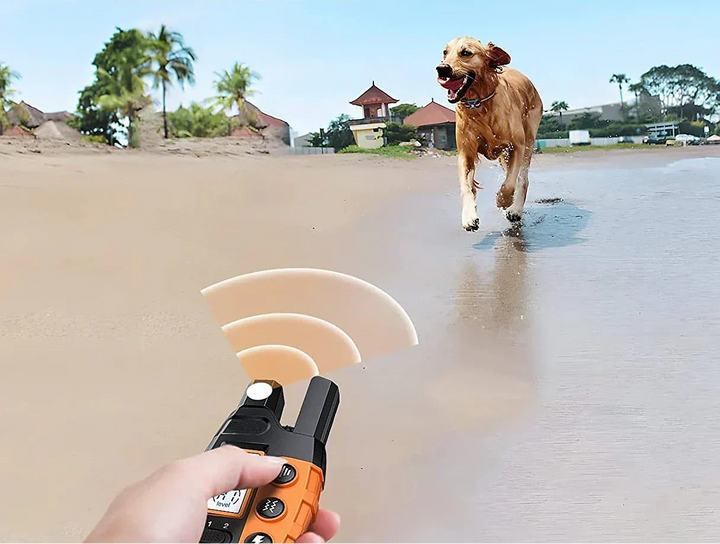 NovaPace Dog Training Collar with 1000m Remote Range, Waterproof