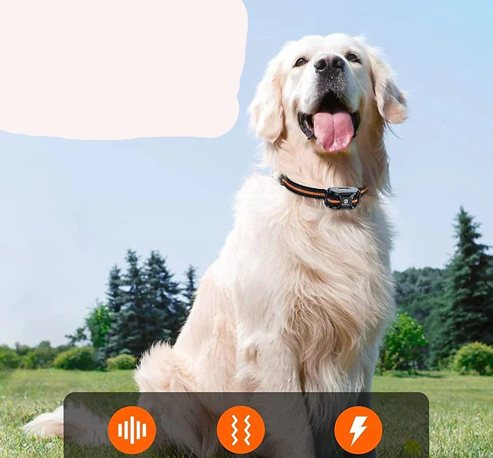 NovaPace Dog Training Collar with 1000m Remote Range, Waterproof