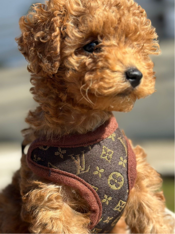 Harness and Lead Set – PawLuxe