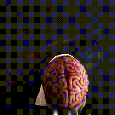 Realistic Skeleton Halloween Mask with Brain for Adults