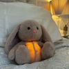 Calming Cuddle Plush Toy