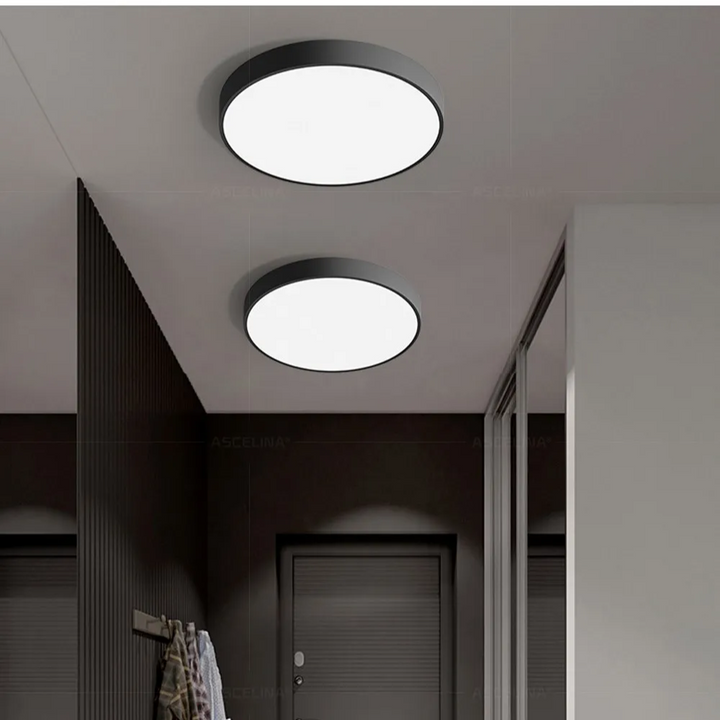 Round LED Ceiling Lamp with Metal Frame