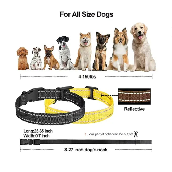 Rechargeable Electric Dog Training Collar with Remote Control & 1000m Range – PetControl