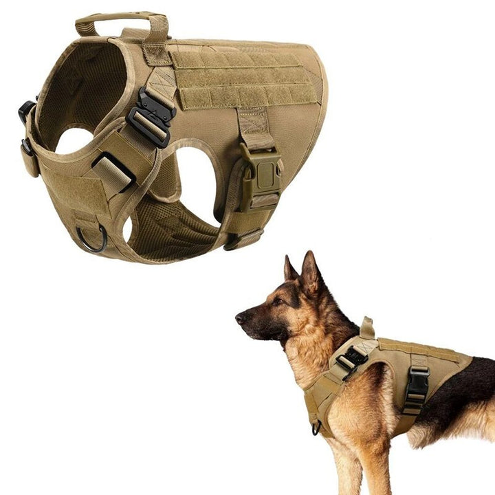 No-Pull Dog Harness – Rexon