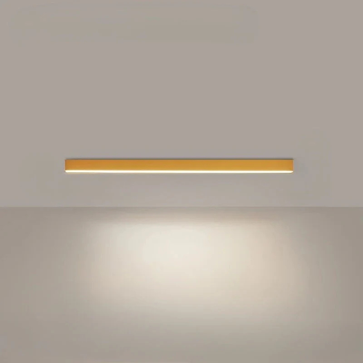 Modern LED Ceiling Lamp