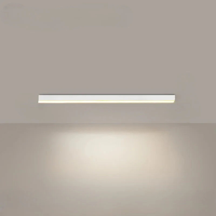 Modern LED Ceiling Lamp
