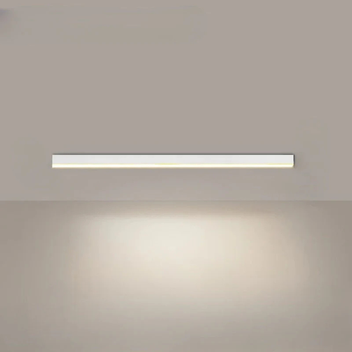 Modern LED Ceiling Lamp
