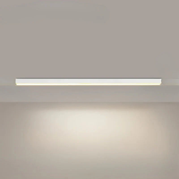 Modern LED Ceiling Lamp