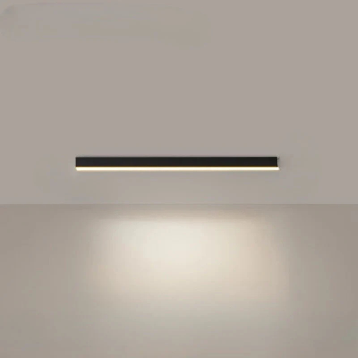 Modern LED Ceiling Lamp