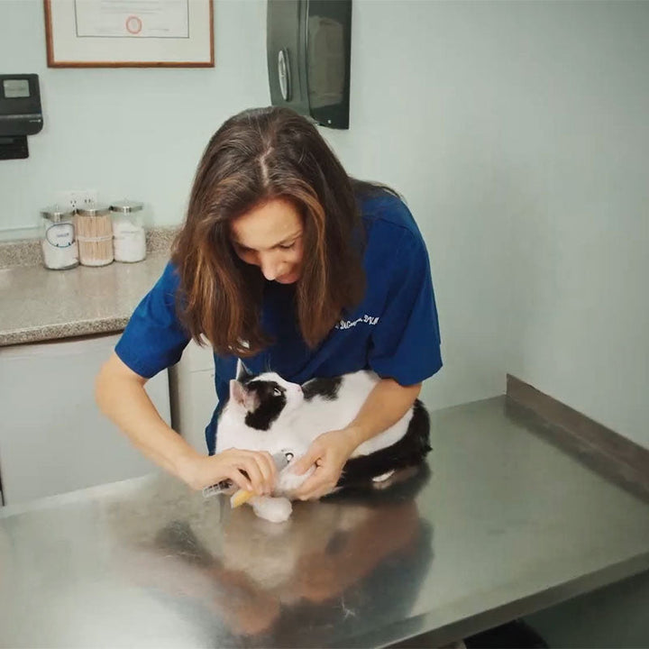 MAX - The Best Dog Nail Clippers with Quick-Sensors